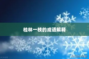桂林一枝的成语解释