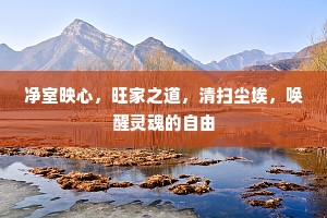 净室映心，旺家之道，清扫尘埃，唤醒灵魂的自由