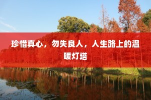 珍惜真心，勿失良人，人生路上的温暖灯塔