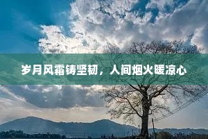 岁月风霜铸坚韧，人间烟火暖凉心