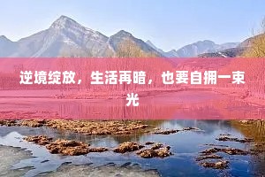 逆境绽放，生活再暗，也要自拥一束光