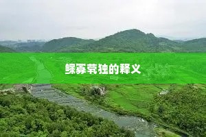 鳏寡茕独的释义