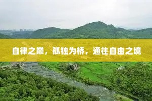 自律之巅，孤独为桥，通往自由之境