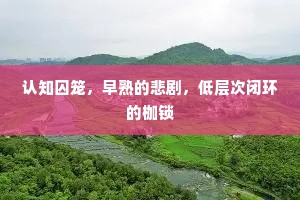 认知囚笼，早熟的悲剧，低层次闭环的枷锁