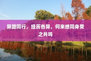 异路同行，经历各异，何来感同身受之共鸣