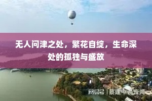 无人问津之处，繁花自绽，生命深处的孤独与盛放