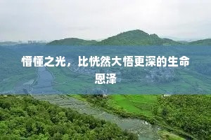 懵懂之光，比恍然大悟更深的生命恩泽
