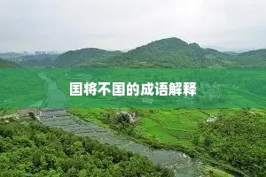 国将不国的成语解释