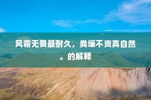 马迟枚疾的解释