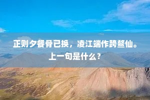 有客歌哭不曾学，有客沈哀犹未已。的解释