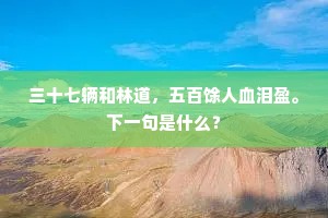 马足龙沙的解释