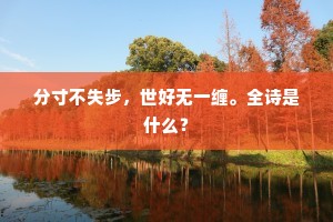 最不宜诗偏得句，偶然因客亦敲棋。下一句是什么？