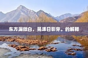 空嗟美景迟暮,经几度、卷风迎月。的解释 空嗟美景迟暮,经几度、卷风迎月。的解释