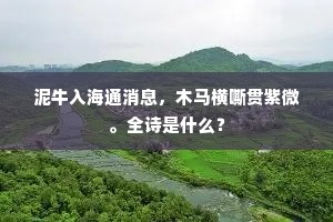 官家榷茶岁算缗，贾胡垄断术尤神。出自哪首诗？