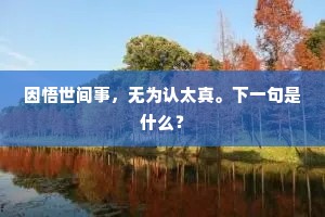 文章名世无侥幸，血写轲书李慧娘。上一句是什么？