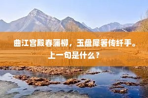 雪意留君君不住，从此去，少清欢。上一句是什么？