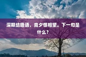今朝不管乱云深，来伴仙翁山下住。的意思及出处