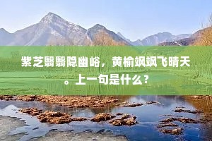 如今但欲关门睡，一任梅花作雪飞。的意思及出处