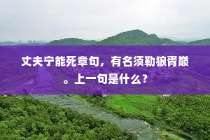 江妃定许捐双佩，渔父何劳笑独醒。上一句是什么？