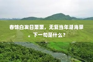 已惊并水鸥无色，更怪行沙蟹有声。的解释