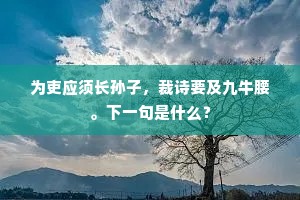 却嫌鸟雀投林去，触破当楼云母屏。的释义
