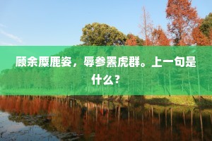 长忆追随，湖山好处，醉帽欹风雪。的解释