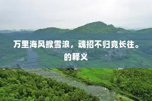 卖剑买琴的成语解释
