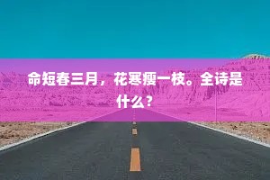 卖文为生的成语解释