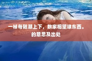 瞒天讨价的释义