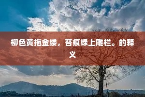 满而不溢的释义