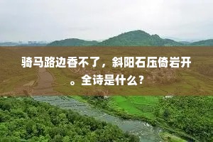 满腹牢骚的解释
