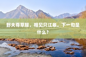谩藏诲盗的释义