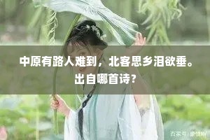 漫不加意的解释