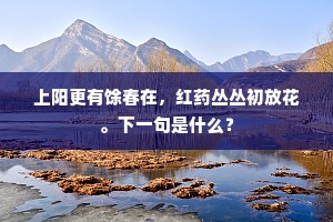 江妃定许捐双佩,渔父何劳笑独醒。上一句是什么? 江妃定许捐双佩,渔父何劳笑独醒。上一句是什么?