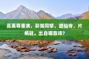 人事略如春梦过，年光不啻惊弦发。的意思及出处