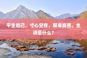 牵上魏车将汉月，忆君清泪知多少。的意思及出处