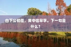 问秋光、乞得一宵闲，满引玉东西。上一句是什么？