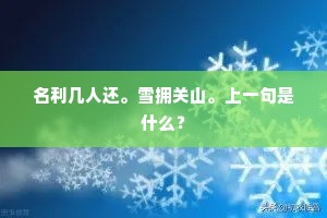 人世如萍，客愁似海，吟鬓俱非昨。的释义