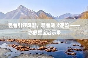 强者引领风潮，弱者随波逐流 —— 亦舒喜宝启示录