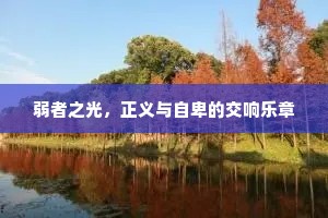 弱者之光，正义与自卑的交响乐章