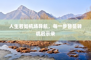 人生若如机场导航，每一步皆是转机启示录