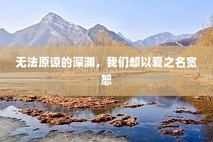 无法原谅的深渊，我们却以爱之名宽恕