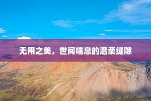 无用之美，世间喘息的温柔缝隙