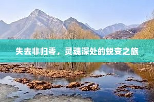 失去非归零，灵魂深处的蜕变之旅