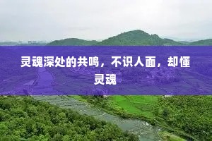 灵魂深处的共鸣，不识人面，却懂灵魂