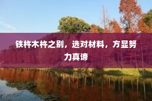 铁杵木杵之别，选对材料，方显努力真谛