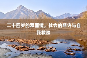 二十四岁的双面镜，社会的期许与自我救赎