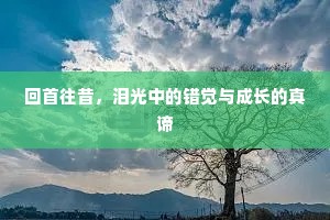 回首往昔，泪光中的错觉与成长的真谛