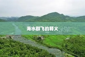 海水群飞的释义