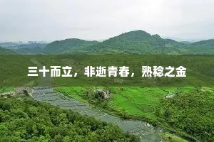 三十而立，非逝青春，熟稔之金